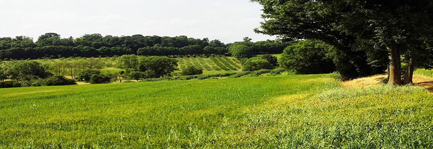 Battlefield of Evesham