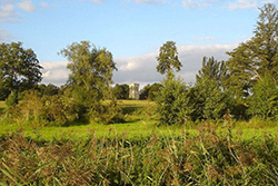 Fornham