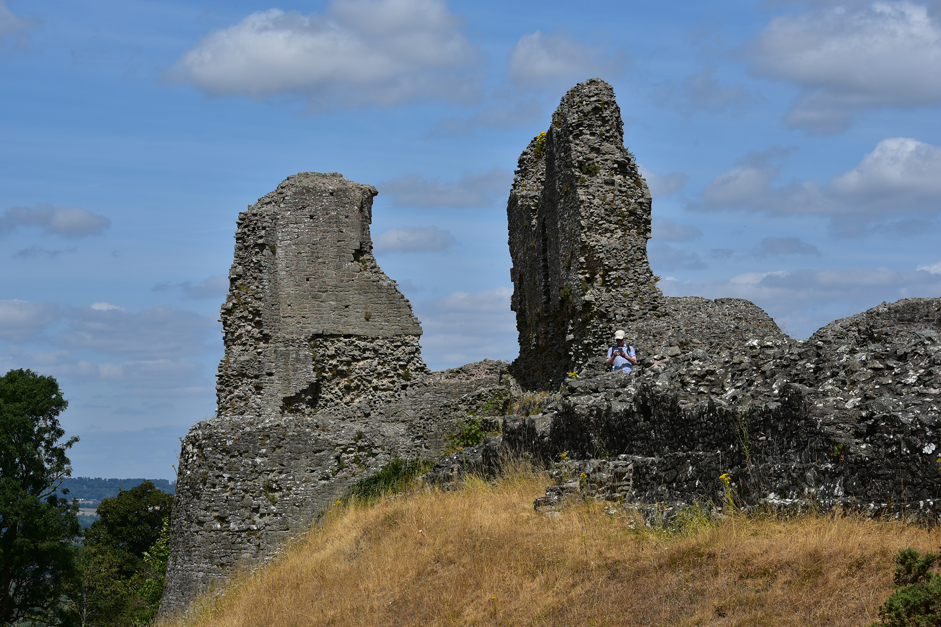 Montgomery Castle