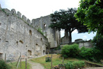 Château de Montrichard