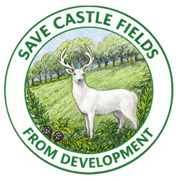 Berkhamsted Castle Fields